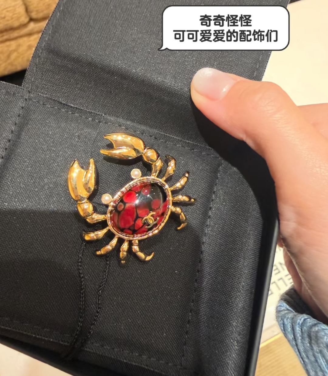 샤넬 크랩 모티프 더블 C 브로치
