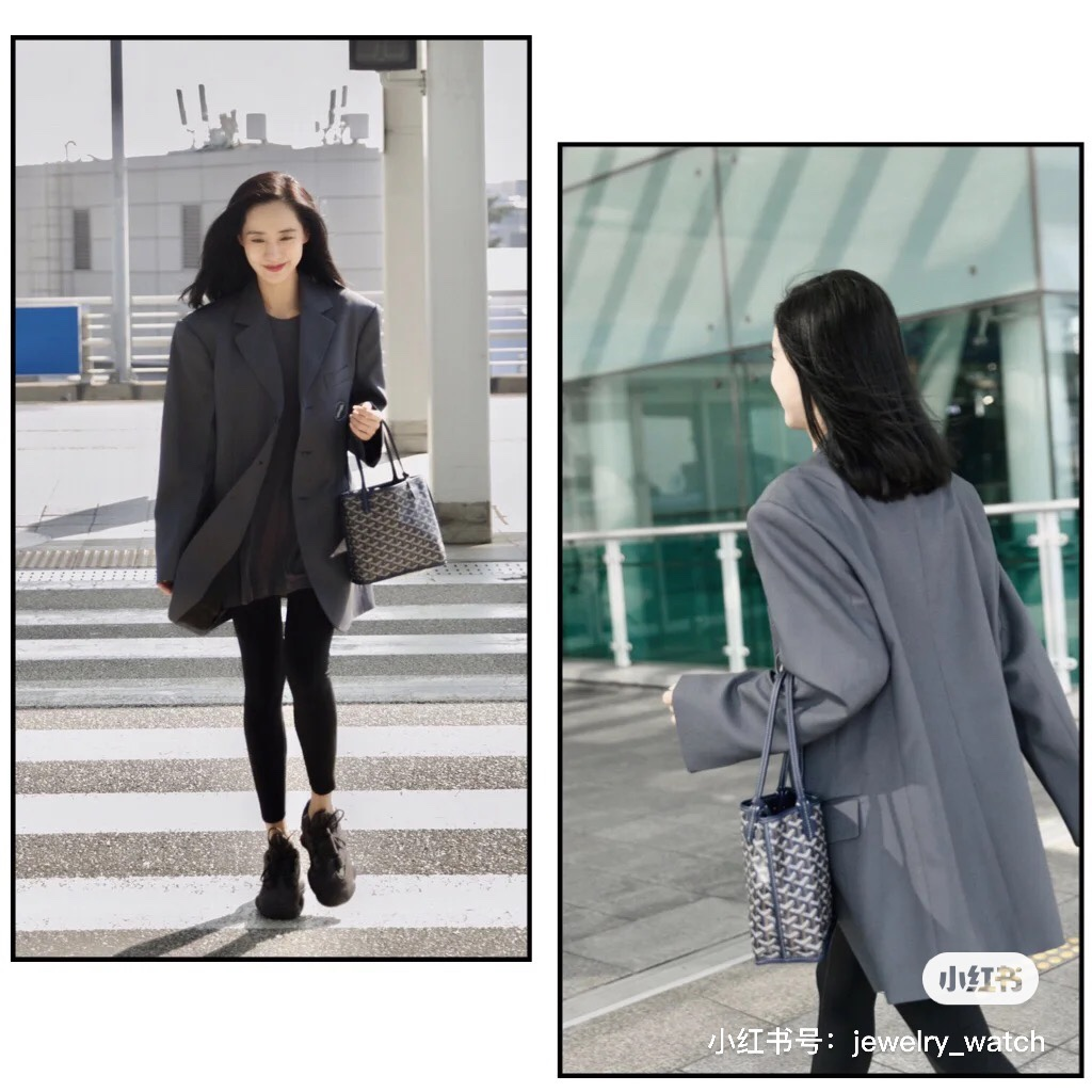 고야드 앙주 미니 토트백