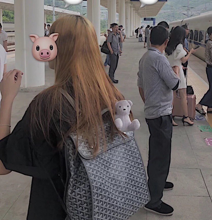 고야드 생 루이 토트백