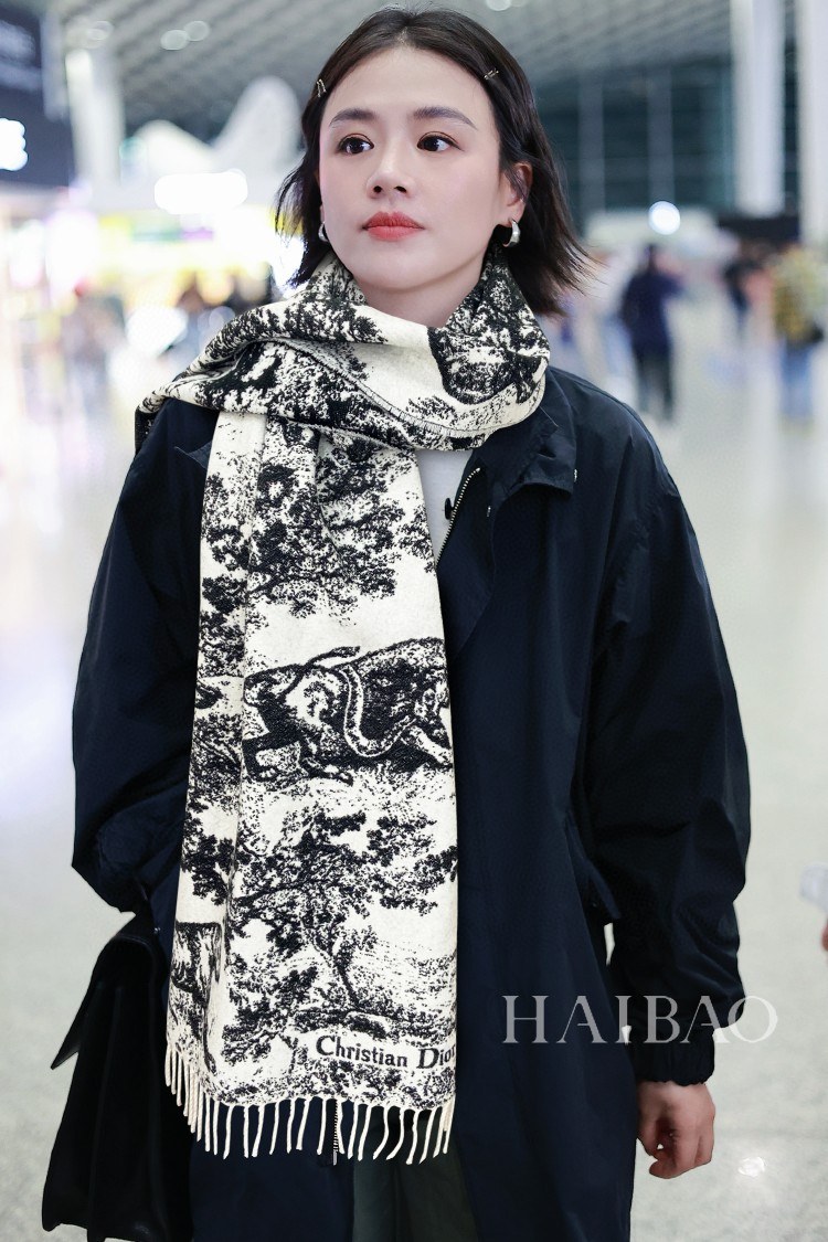 디올 토일 드 주이 사바쥬 애니멀 프린트 프린지 롱 스카프