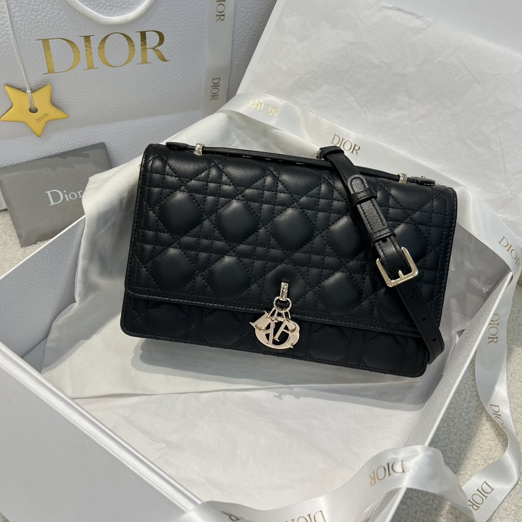 디올 마이 디올(My Dior) 탑 핸들백