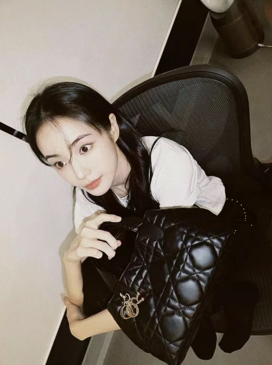 디올 레이디 디올 까나쥬 퀼팅 탑핸들 핸드백