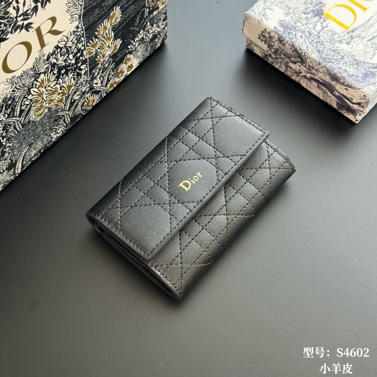 디올 디올 카로 스몰 카드 홀더/지퍼 카드지갑 S4602